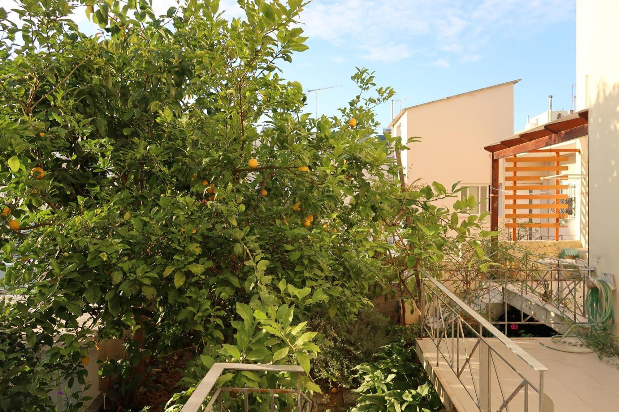 Sunbeam Retreat Villa Chania  Exteriör bild