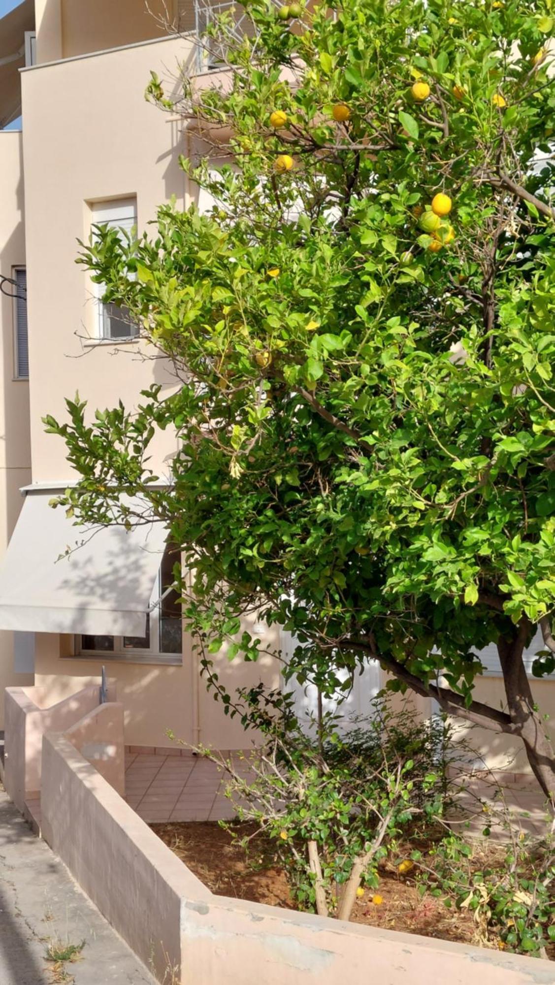 Sunbeam Retreat Villa Chania  Exteriör bild